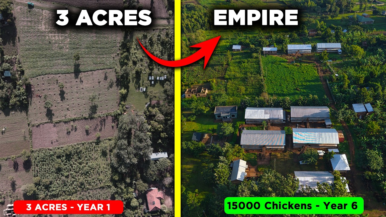 Turning 3 Acres into a 15,000-Chicken Empire in 6 Years